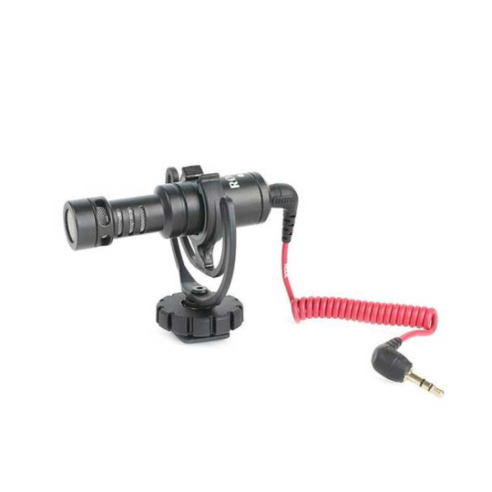 VideoMicro