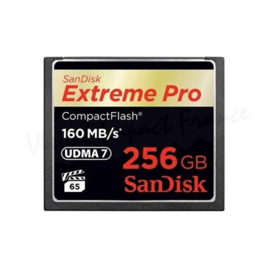 SDCFXPS 256G