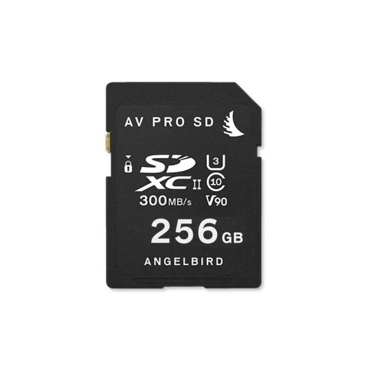 AV PRO SD 256Go