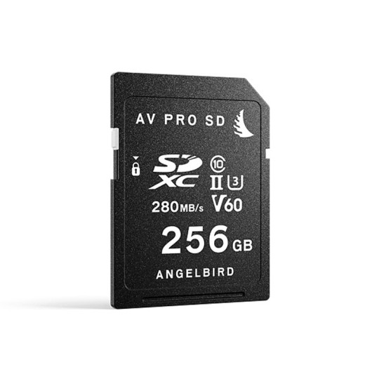 AV PRO SD V60 256Go