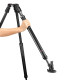 504X & CF Fast Sing Leg Tripod